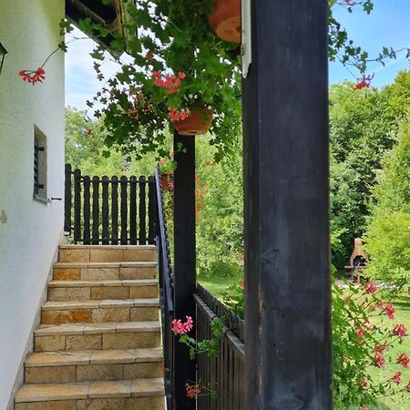 Apartman Poznanovic Apartamento Rakovica Exterior foto