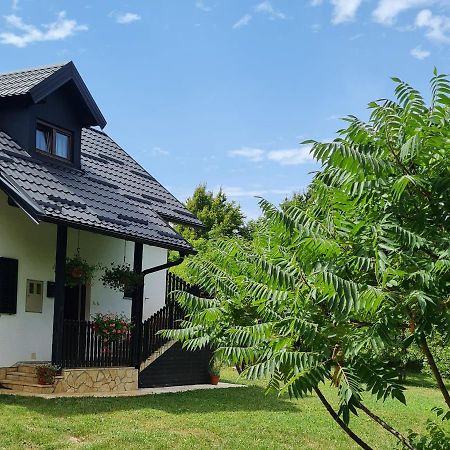 Apartman Poznanovic Apartamento Rakovica Exterior foto
