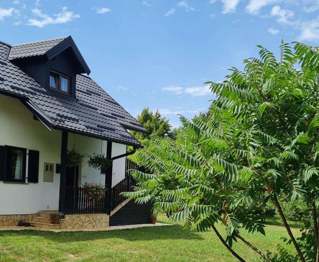 Apartman Poznanovic Apartamento Rakovica Exterior foto